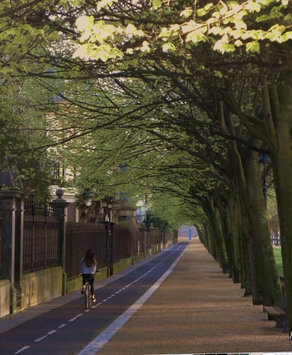 Mis propuestas al Ayuntamiento de San Sebasti&aacute;n, como ciclista urbano, para ampliar la red de carriles bici.
