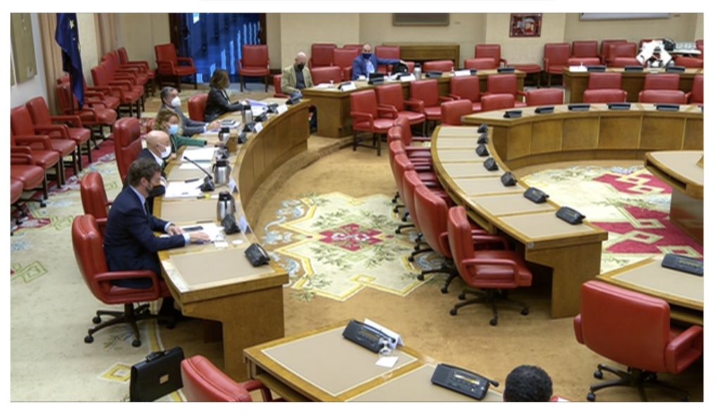 Intervenci&oacute;n en la Comisi&oacute;n Consultiva de Nombramientos del Congreso. Debate de control sobre candidatos al Tribunal Constitucional. 2 de noviembre de 2021.
